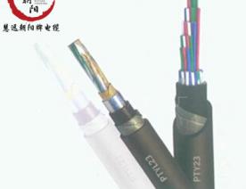 電線-計(jì)算機(jī)電纜